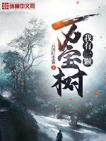 ����һ������