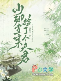 ����鰸���˸����